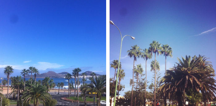 My Showroom, Canary islands, Canarias, Las Palmas de gran Canaria, 27 grados en noviembre.